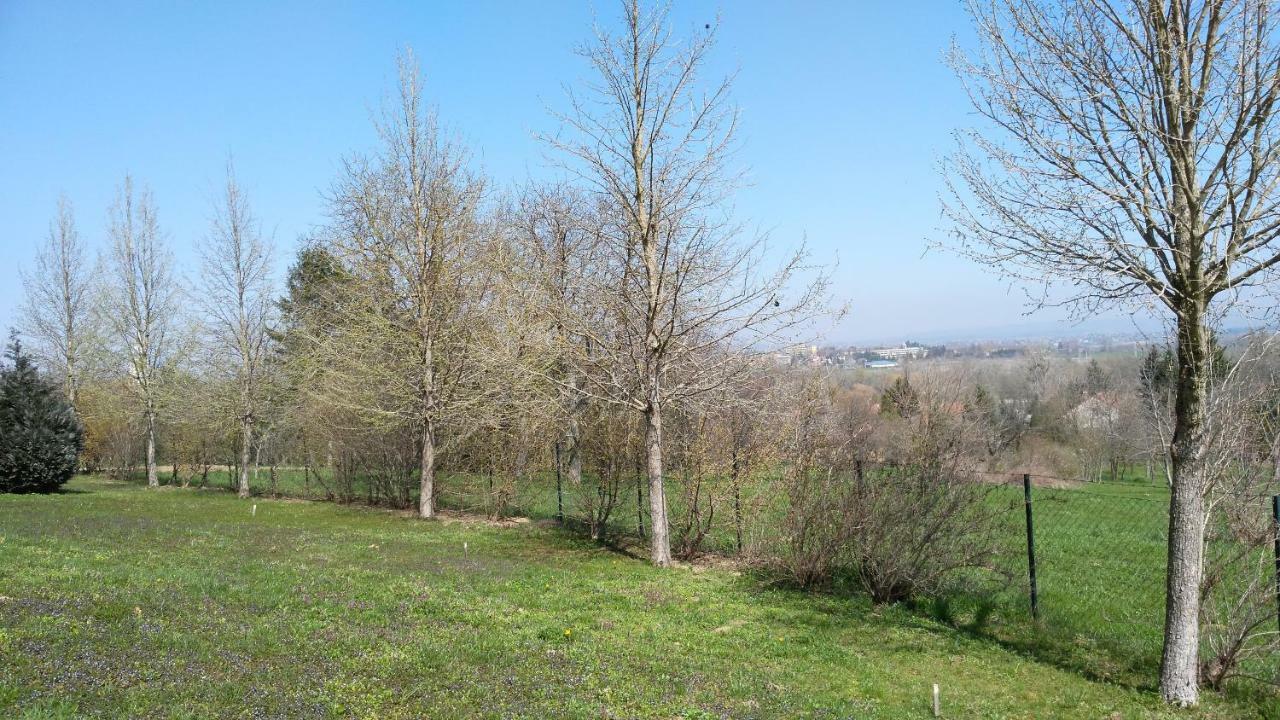 Modor Apartman Alsópáhok Dış mekan fotoğraf
